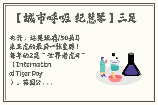 九·幺玩命加载中
