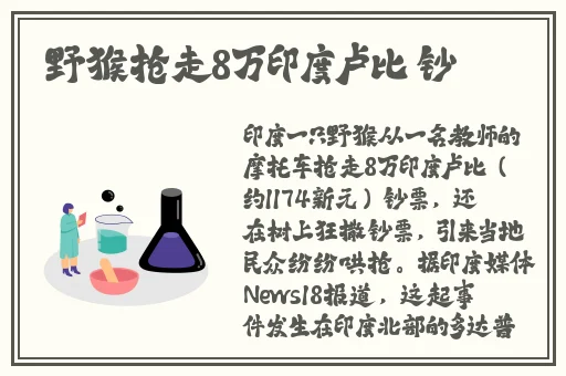 9612黄桃网站进入页面