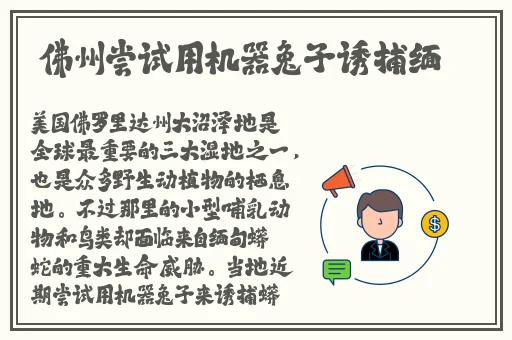 日产一区二区的区别